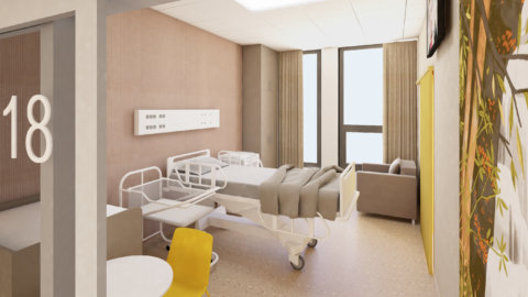 nemocnica bory pacientska izba