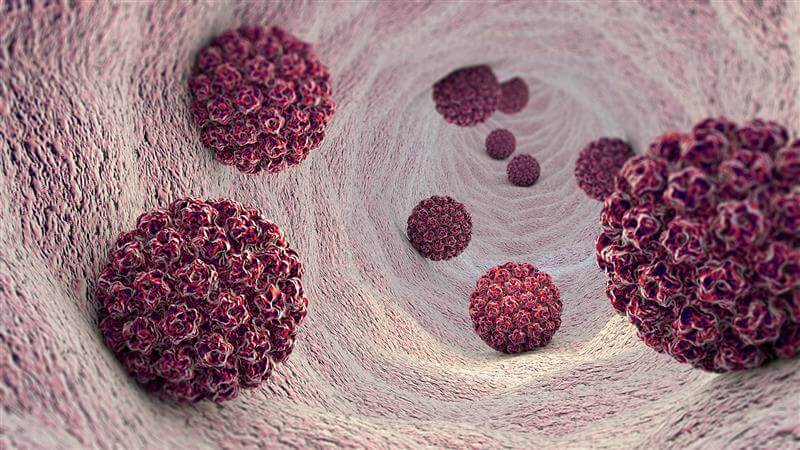 prevencia rakovina krcka maternice virus HPV1